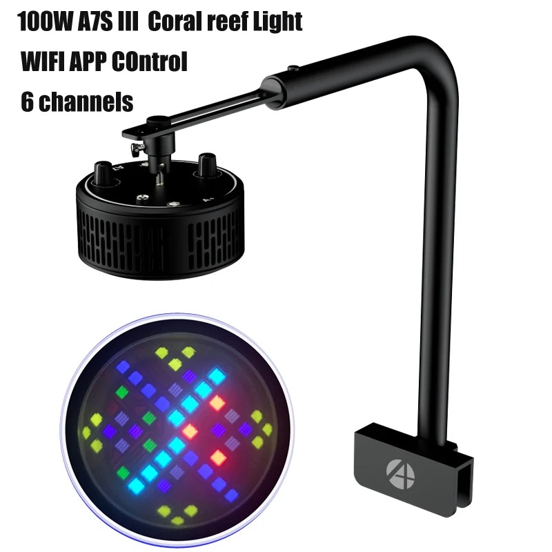 Reef Aquarium - A7S III WiFi Application Controls Full