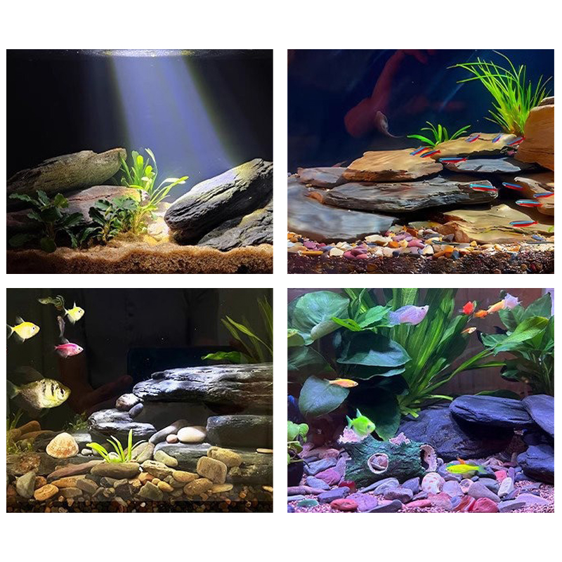 500/1000g Fish Tank Landscape  - Marine Fish Tank ulasan dan harga