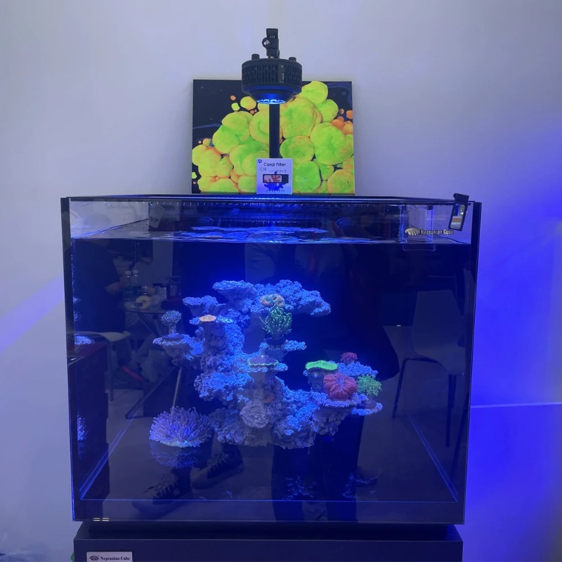 A7S III WiFi Application Contr - Reef Aquarium ulasan dan harga